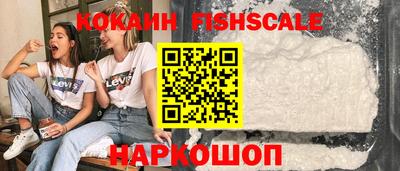 гашик Будённовск