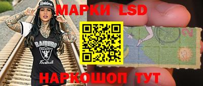 гашик Будённовск