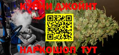 гашик Будённовск