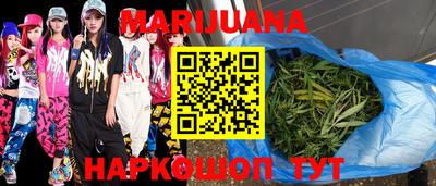 гашик Будённовск