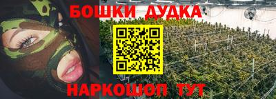 гашик Будённовск