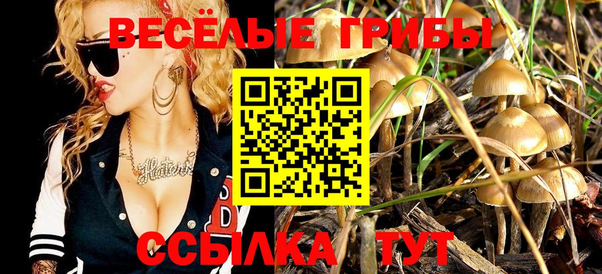 Галлюциногенные грибы ЛСД  Вход с VPN  Азов 